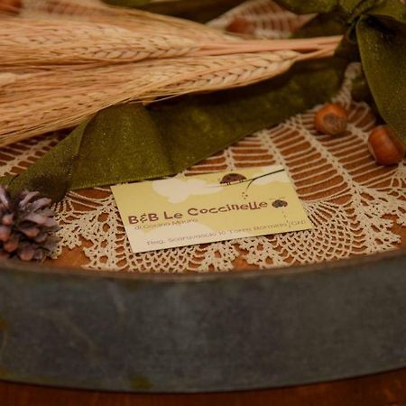B&B Le Coccinelle Torre Bormida Zewnętrze zdjęcie