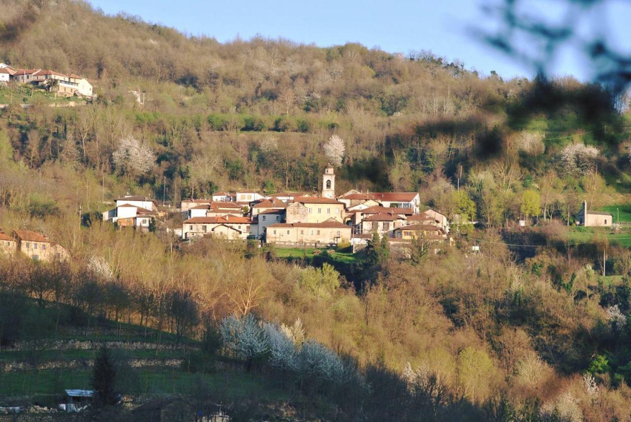 B&B Le Coccinelle Torre Bormida Zewnętrze zdjęcie