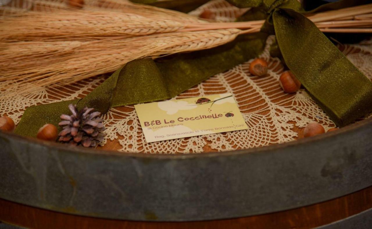 B&B Le Coccinelle Torre Bormida Zewnętrze zdjęcie
